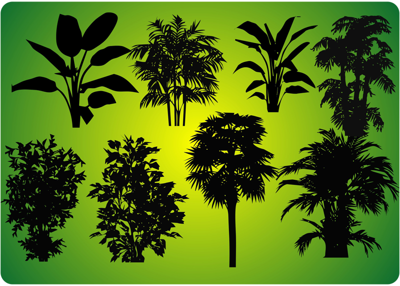 various plant forms