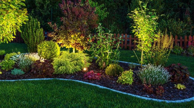 Best Backyard Landscaping Ideas For A, Year Round Landscaping